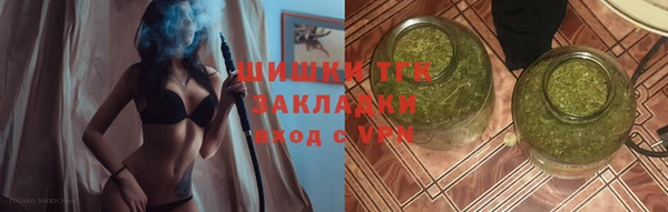 прущие грибы Зерноград