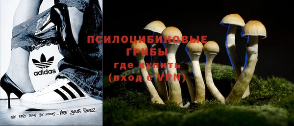 прущие грибы Зерноград