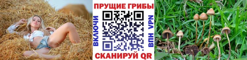 Псилоцибиновые грибы ЛСД  Гаврилов-Ям 